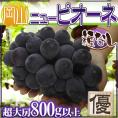 ”岡山産 種なしニューピオーネ” 優品 超大房 1房 約800g以上 ぶどう【予約 9月以降】