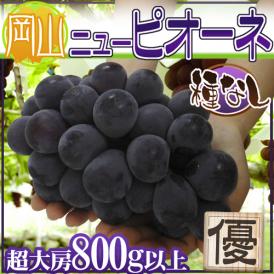 ”岡山産 種なしニューピオーネ” 優品 超大房 1房 約800g以上 ぶどう【予約 9月以降】