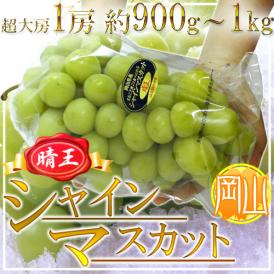 岡山産 ”シャインマスカット「晴王」” 超大房1房 約1kg以上 ぶどう【予約 7月下旬以降】