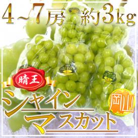 岡山産 ”シャインマスカット「晴王」” 4～7房 約3kg ぶどう【予約 7月下旬以降】 送料無料