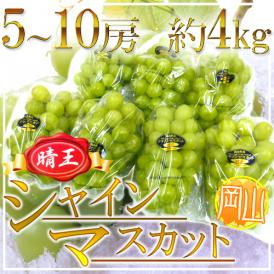 岡山産 ”シャインマスカット「晴王」” 5～10房 約4kg ぶどう【予約 7月下旬以降】 送料無料