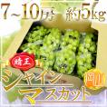 岡山産 ”シャインマスカット「晴王」” 7～10房 約5kg ぶどう【予約 7月下旬以降】 送料無料