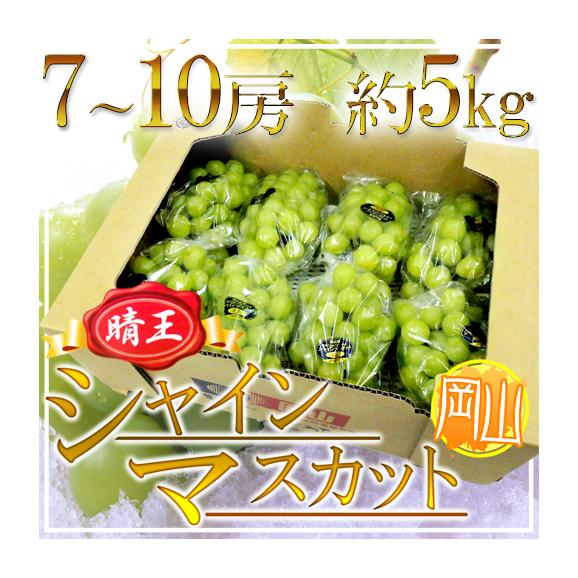 【数量限定】旧モデル在庫処分セールを開催します！ 岡山産 ”シャインマスカット「晴王」” 7～10房 約5kg ぶどう フルーツ