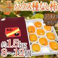 奈良・和歌山産 ”ハウスたねなし柿” 訳あり 8～12玉前後 約1.5kg 化粧箱【予約 7月下旬以降】 送料無料