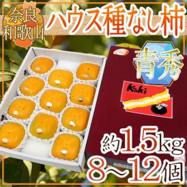 奈良・和歌山産 ”ハウスたねなし柿” 青秀品 8～12玉前後 約1.5kg 化粧箱【予約 7月下旬以降】 送料無料