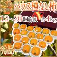 奈良・和歌山産 ”ハウスたねなし柿” 秀品 12〜20玉前後 約4kg 化粧箱【予約 9月下旬以降】 送料無料