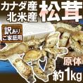 カナダ・北米産 ”松茸” 訳あり 約1kg 原体 大きさおまかせ【予約 9月中下旬以降】 送料無料