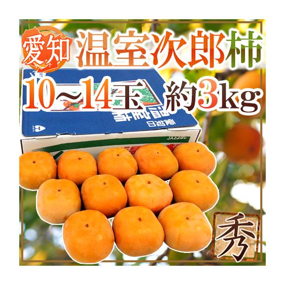愛知県産 &rdquo;温室次郎柿&rdquo; 秀品 10～14玉 約3kg ハウス次郎柿【予約 8月下旬以降】 送料無料01