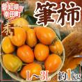 ”愛知県 幸田町 筆柿” 秀品 L～3L 約1kg ふで柿【予約 9月下旬以降】