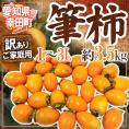 ”愛知 幸田町 筆柿” 訳あり 約3.5kg ふで柿【予約 10月以降】 送料無料