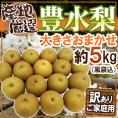 ”豊水梨” 訳あり 風袋込約5kg 大きさおまかせ 産地厳選【予約 8月下旬以降】 送料無料