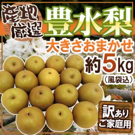 ”豊水梨” 訳あり 風袋込約5kg 大きさおまかせ 産地厳選【予約 8月下旬以降】 送料無料