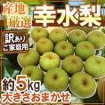 ”幸水梨” 訳あり 約5kg 大きさおまかせ 産地厳選【予約 8月以降】 送料無料