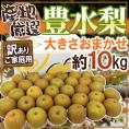 ”豊水梨” 訳あり 約10kg 大きさおまかせ 産地厳選【予約 8月下旬以降】 送料無料