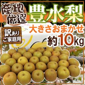 ”豊水梨” 訳あり 約10kg 大きさおまかせ 産地厳選【予約 8月下旬以降】 送料無料