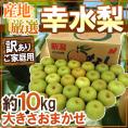 ”幸水梨” 訳あり 約10kg 大きさおまかせ 産地厳選【予約 8月以降】 送料無料