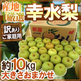 ”幸水梨” 訳あり 約10kg 大きさおまかせ 産地厳選【予約 8月以降】 送料無料