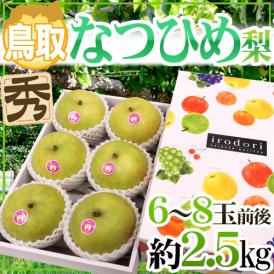  ”鳥取産 なつひめ梨” 秀品 大玉6〜8玉前後 約2.5kg【予約 8月末以降】 送料無料
