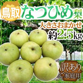 ”鳥取産 なつひめ梨” 訳あり 約2.5kg 大きさおまかせ【予約 8月末以降】 送料無料