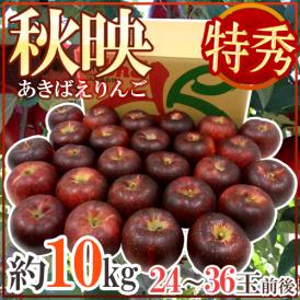 長野産 まっ黒リンゴ ”秋映 あきばえ” 特秀品 24〜36玉前後 約10kg【予約 10月以降】 送料無料