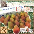 山形産 ”レッドバートレット” 秀品 12〜20玉前後 約5kg 洋梨【予約 9月以降】 送料無料