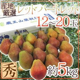 山形産 ”レッドバートレット” 秀品 12〜20玉前後 約5kg 洋梨【予約 9月以降】 送料無料
