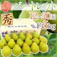 山形産 ”バートレット” 秀品 12～20玉前後 約5kg 洋梨【予約 8月末以降】 送料無料