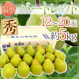 山形産 ”バートレット” 秀品 12～20玉前後 約5kg 洋梨【予約 8月末以降】 送料無料