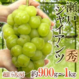 岡山産 ”瀬戸ジャイアンツ” 超特大房 約900g～1kg ぶどう【予約 8月以降】