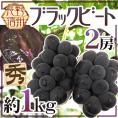 ”長野産 ブラックビート” 秀品 2房 約1kg ぶどう【予約 9月中旬以降】 送料無料