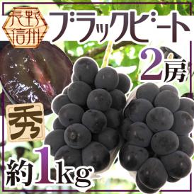 ”長野産 ブラックビート” 秀品 2房 約1kg ぶどう【予約 9月中旬以降】 送料無料