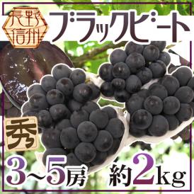 ”長野産 ブラックビート” 秀品 3～5房 約2kg ぶどう【予約 9月中旬以降】 送料無料