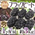 ”長野産 ブラックビート” 秀品 4～7房 約3kg ぶどう【予約 9月中旬以降】 送料無料
