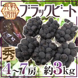 ”長野産 ブラックビート” 秀品 4～7房 約3kg ぶどう【予約 9月中旬以降】 送料無料