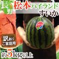 ”長野県 松本ハイランドすいか” 訳あり 約5kg以上【予約 7月下旬以降】 送料無料