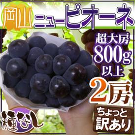 ”岡山産 種なしニューピオーネ” 超大房 1房 約800g以上×2房 ちょっと訳あり ぶどう【予約 9月以降】 送料無料