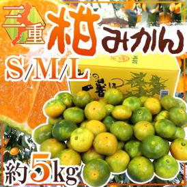 三重産 ”柑みかん” 秀品（等級柑） S/M/Lサイズ 約5kg【予約 9月中旬以降】 送料無料