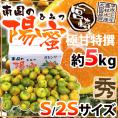 宮崎産 ”南国の陽蜜（ひみつ）みかん” 秀品 S/2Sサイズ 約5kg【予約 9月中下旬以降】 送料無料