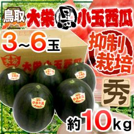 鳥取県 ”大栄黒小玉スイカ” 秀品 3～6玉 約10kg すいか【予約 9月以降】 送料無料