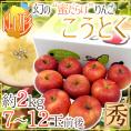 山形産 蜜だらけりんご ”こうとく（高徳）りんご” 7〜12玉前後 約2kg【予約 11月以降】 送料無料