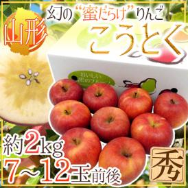 山形産 蜜だらけりんご ”こうとく（高徳）りんご” 7〜12玉前後 約2kg【予約 11月以降】 送料無料