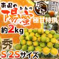 宮崎産 ”南国の陽蜜（ひみつ）みかん” 秀品 S/2Sサイズ 約2kg【予約 9月中下旬以降】 送料無料