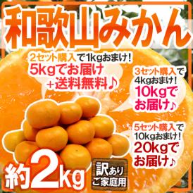 ”和歌山みかん” 訳あり 約2kg 大きさおまかせ《2セット購入で1kgおまけ＋送料無料、3セット購入で4kgおまけ、5セット購入で10kgおまけ》【予約 11月末以降】