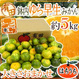 和歌山 有田 鉢内柑橘園産 ”鉢内ゆら早生みかん” 秀品 約5kg 大きさおまかせ【予約 10月以降】 送料無料