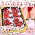 徳島県佐那河内村 ”さくらももいちご” M/Lサイズ 約200g×4pc【予約 12月以降】 送料無料
