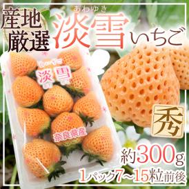 ”白いちご 淡雪いちご”1pc 7～15粒前後 約300g 産地厳選【予約 12月以降】