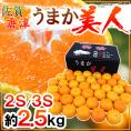 佐賀県 JAからつ ”うまか美人みかん” 2S/3Sサイズ 約2.5kg【予約 11月以降】 送料無料