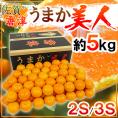 佐賀県 JAからつ ”うまか美人みかん” 2S/3Sサイズ 約5kg【予約 10月中旬以降】 送料無料