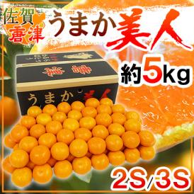 佐賀県 JAからつ ”うまか美人みかん” 2S/3Sサイズ 約5kg【予約 10月中旬以降】 送料無料