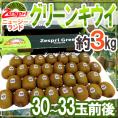 ゼスプリ ”グリーンキウイ” 30～33玉前後 約3kg【予約 4月下旬以降】 送料無料